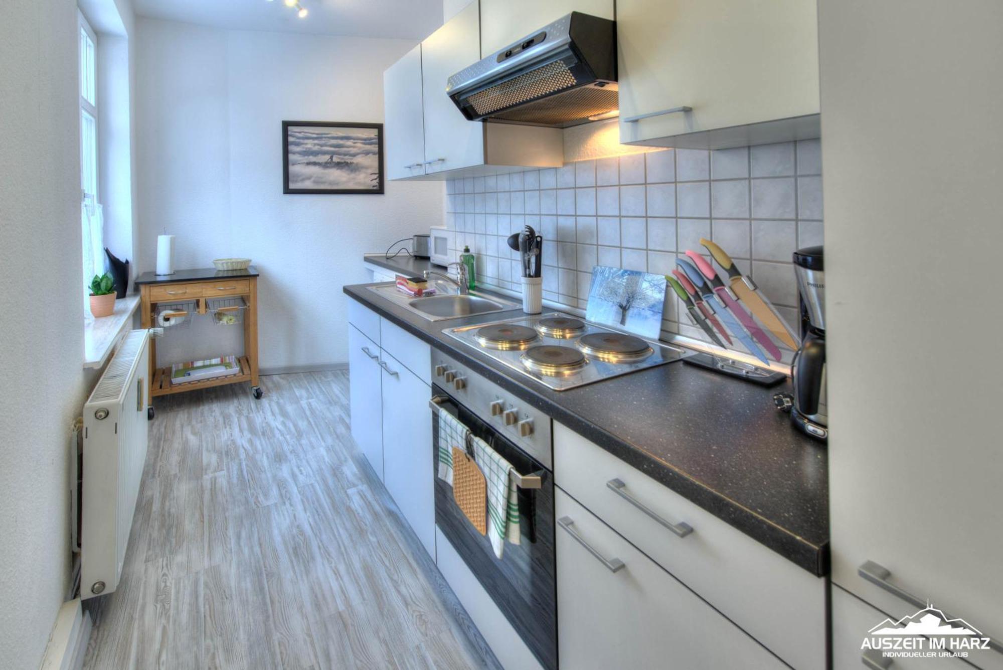 Auszeit Im Harz Haus 1 Wohnung Feuerstein Schierke Eksteriør billede